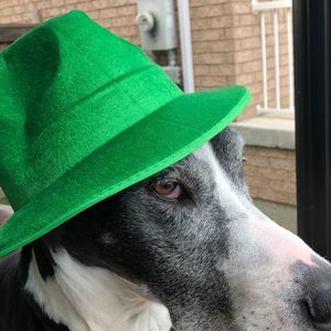 Meet your Posher, Peter